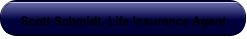 Scott Schmidt, Life Insurance Agent