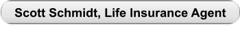 Scott Schmidt, Life Insurance Agent